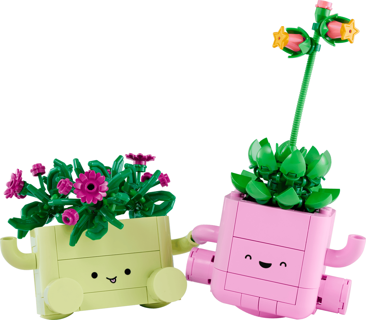 Lego Botanicals Rocking Plants - Spendloves